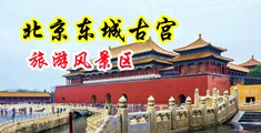 美女厕所自慰网站中国北京-东城古宫旅游风景区